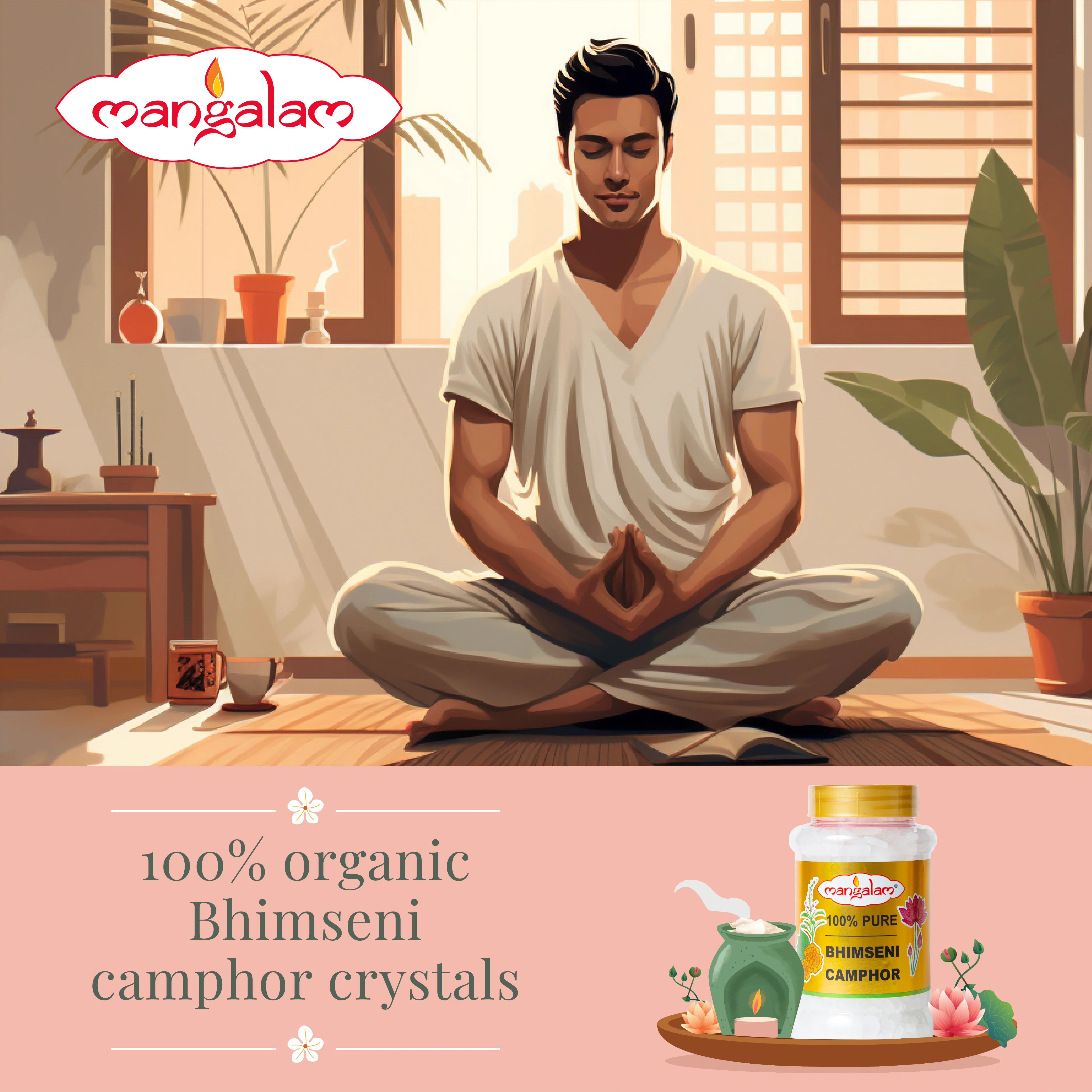 Bhimseni Camphor - 250g - Image 5