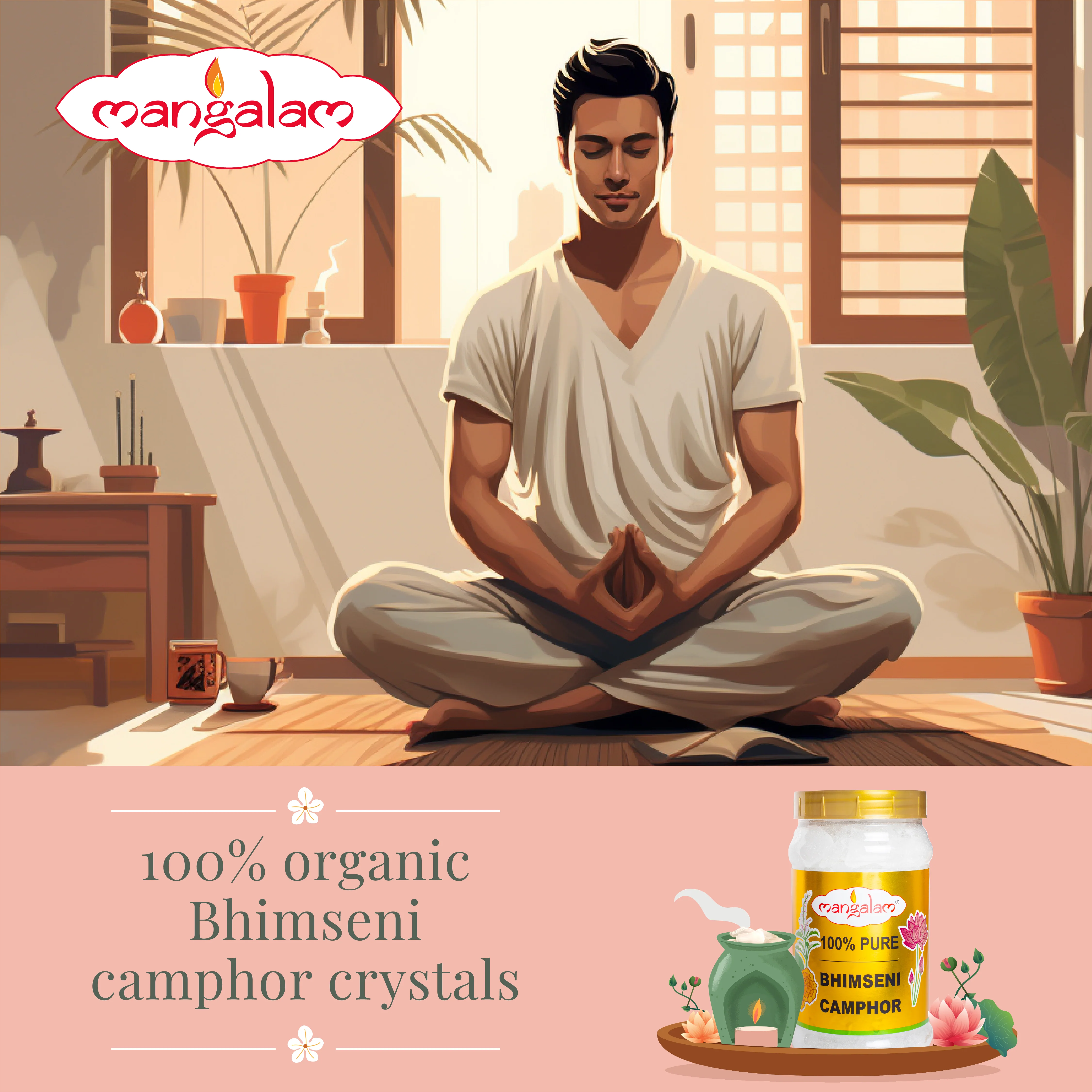 Bhimseni Camphor - 500g - Image 6